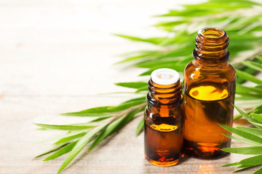 menebalkan alis secara alami dengan tea tree oil